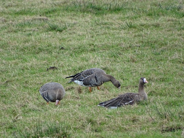 王雅繁晋级澳网女单第二轮人民日报客户端.